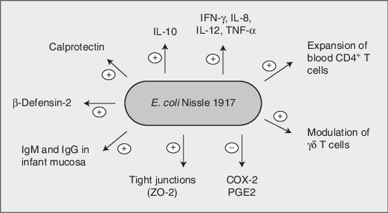 USI E BENEFICI DEL PROBIOTICO E. COLI NISSLE (ECN)