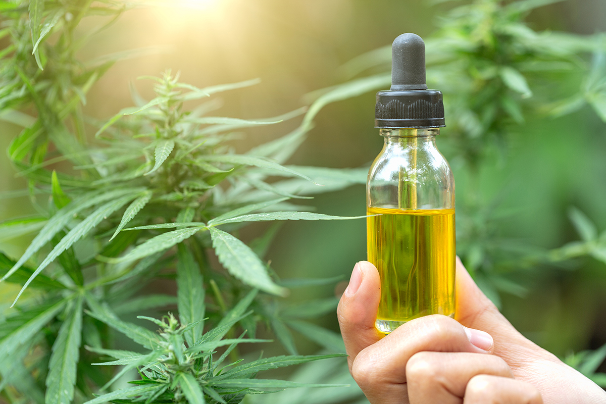 OLIO CBD – UN AIUTO PER DOLORI, SPASMI E INFIAMMAZIONE