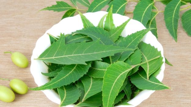 NEEM – CHI DI VOI LO HA UTILIZZATO?