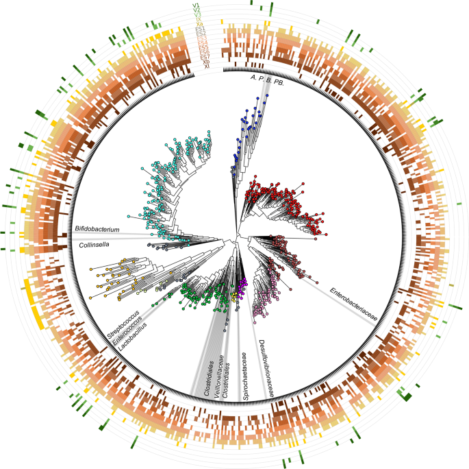 paleo feci microbiota antico